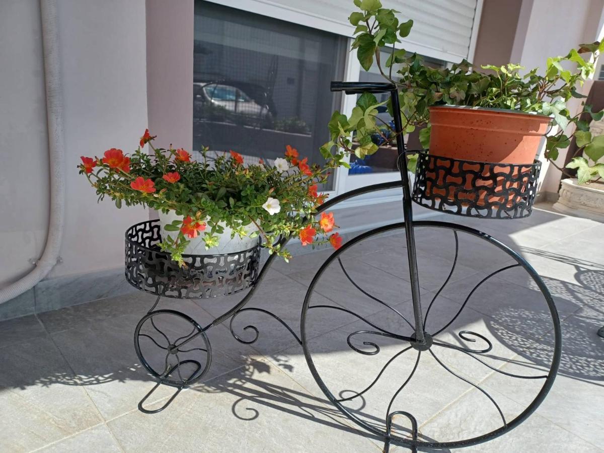 Apartament Comfort House Mimosa 2
