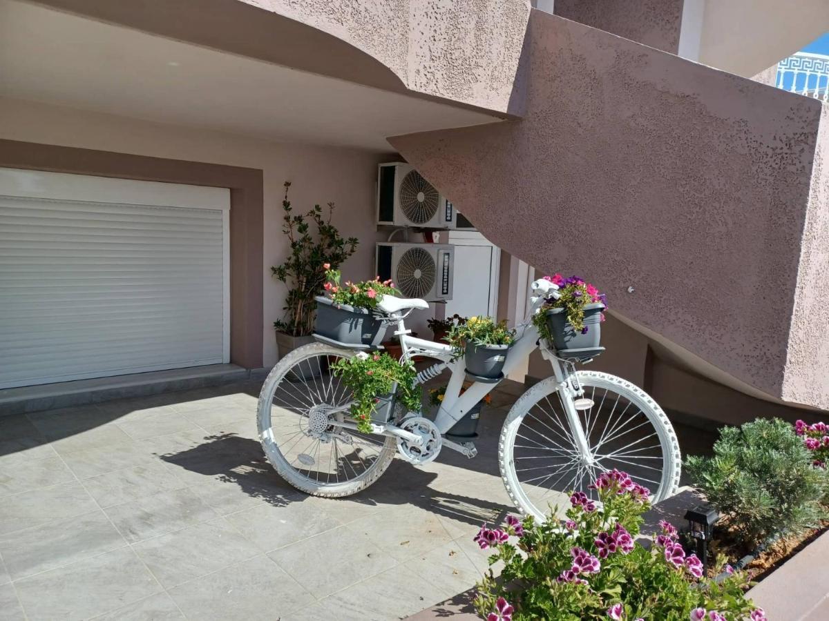 Comfort House Mimosa 2 * Palekastro